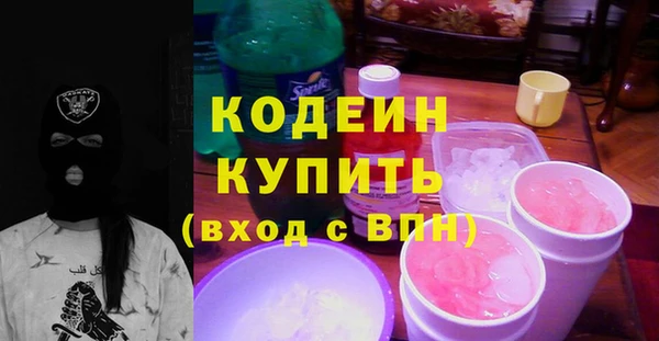 apvp Гусев