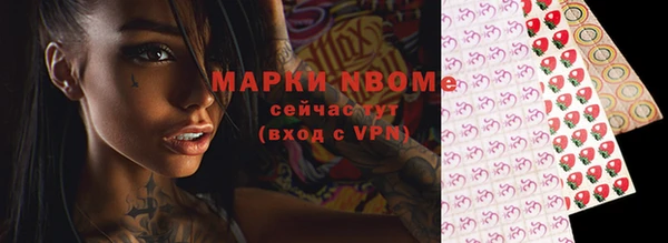 apvp Гусев