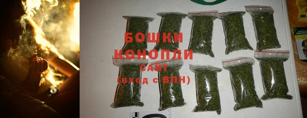 экстази Гусь-Хрустальный