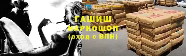 apvp Гусев