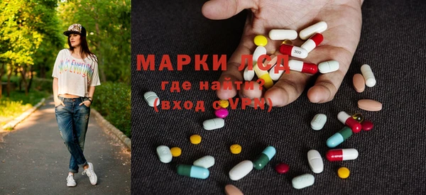 apvp Гусев