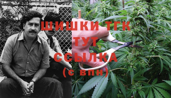 экстази Гусь-Хрустальный