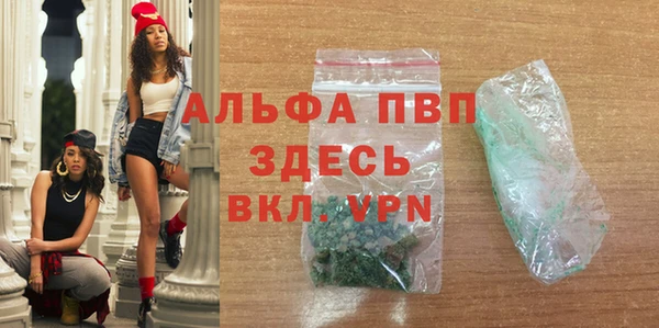 apvp Гусев