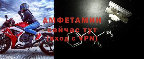 apvp Гусев
