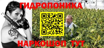 spice Обнинск