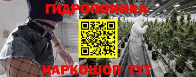 spice Обнинск