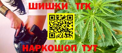 индика Обь
