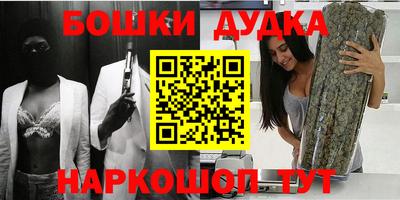 индика Обь