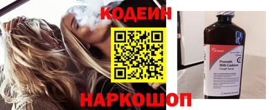 индика Обь