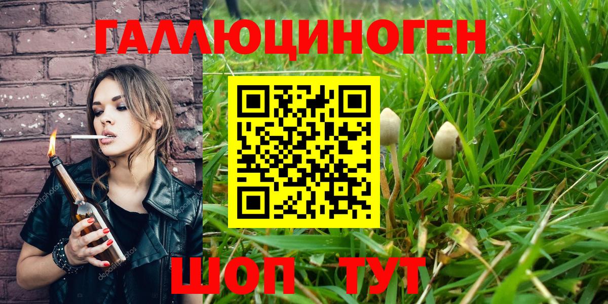 Псилоцибиновые грибы прущие грибы Туапсе